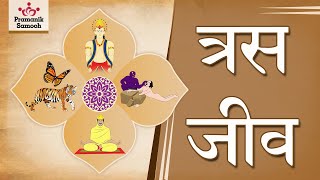 त्रस जीव | TRASJEEV | बाल बोध | जैन कहानियाँ | Jain Story