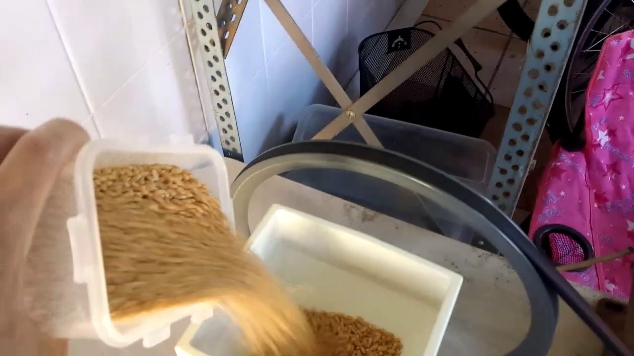 Country Living Grain Mill motorised YouTube