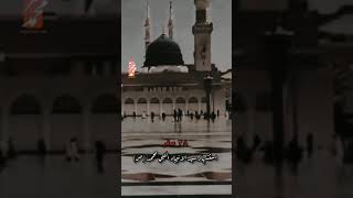 على محمد واويلاه || الرادود باسم الكربلائي|| استشهاد النبي الاعظم محمد( ص)