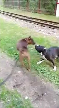 youtube.com