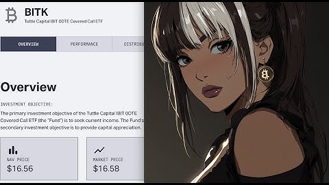 BITK: Risky or Brilliant? Meet Bitcoin income without overnight volatility