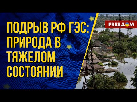 🔴 Вода в Херсоне спадает. Последствия подрыва россиянами ГЭС. Оценка экспертов