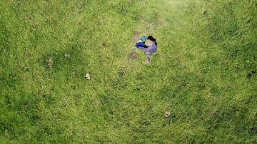 Dung beetle sampling Lynchs Creek, northern NSW