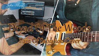 Dryad Of The Woods - Pain Of Salvation - Cover (John Arias)