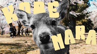 Japan Vlog 🦌 Kobe Wagyu & Bullies in Nara by ohyeahfranzi 72 views 8 months ago 8 minutes, 54 seconds