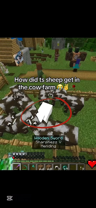ts sheep 🥀