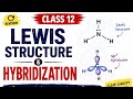 ক্লাস ১২ রিভিশন: Lewis Structure ও Hybridization সহজভাবে #chemistry #class11 #jeeproblems #neet