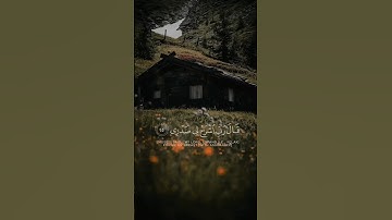 (قَالَ رَبِّ اشْرَحْ لِى صَدْرِي) القارئ شريف مصطفى ❤️ | تلاوات جميلة