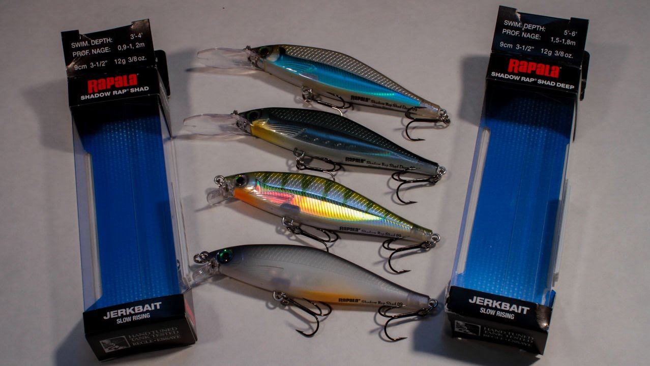 NEW RAPALA SHADOW RAP SHAD JERKBAIT-UNBOXING/REVIEW-2016 BASSMASTER  CLASSIC RELEASE 