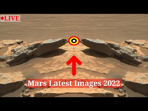 Video: Unde se află compania Mars?