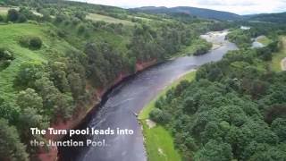 A Fish From The Spey