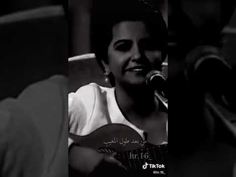 جيت وشجابك حبيبي من بعد طول المغيبي
