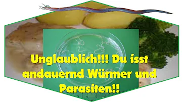 Wie kommen Würmer in den Fisch?