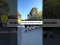 SCHOOL VS HOMESCHOOLING