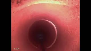 498cdbcd 6eff 4735 90a7 2af4020195b2