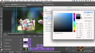 Lesa Snider: Create a Picture-in-Picture Video in Photoshop