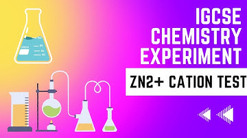 [0620] IGCSE Chemistry Lab {Cation Test : Zinc Ion} [ChemPraxis]