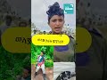 ልጄ እንደወደቀች አቀርም የፋኒት በአለም ዋሴ እናት ጡት ሴቶች Shorts Amhara