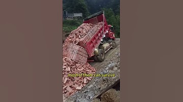 quick way to unload bricks.