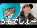 保護した猫がまさかの〇〇で思わず天を見上げる...