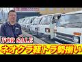 【旧車軽トラ】懐かしの軽トラ勢揃い〜！！各メーカー全てMTモデルを揃えました！！