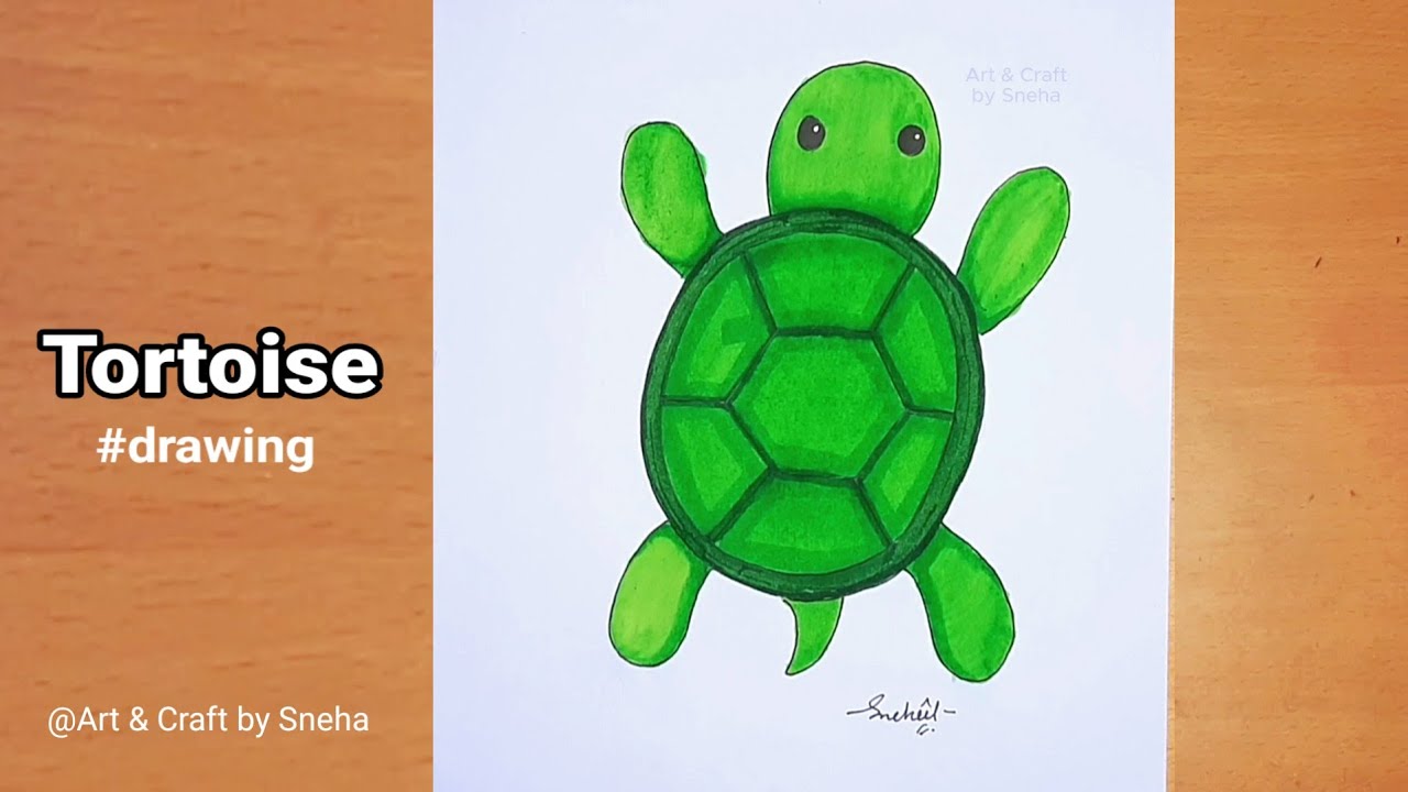 tortoise-how-to-draw-tortoise-for-beginners-youtube