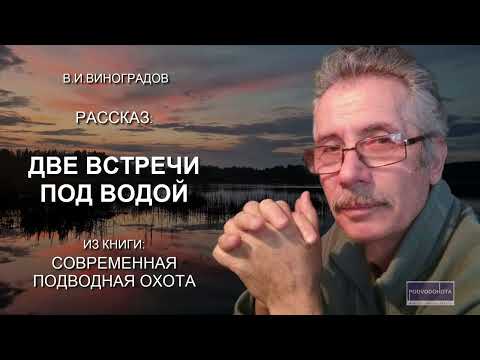 Две встречи под водой. Аудио о подводной охоте.