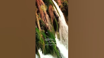 سورة لقمان - بصوت القارئ الشيخ محمد صديق المنشاوي  |  #explore #explorepage #اكسبلور #راحة_نفسية