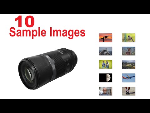 Canon EOS R7 Mirrorless Camera with RF 800mm f11 IS STM Lens - Mike's Camera