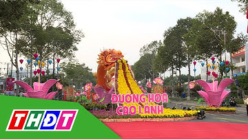 Rộn ràng không khí Tết tại Đường hoa Xuân Giáp Thìn 2024 ở TP. Cao Lãnh | THDT