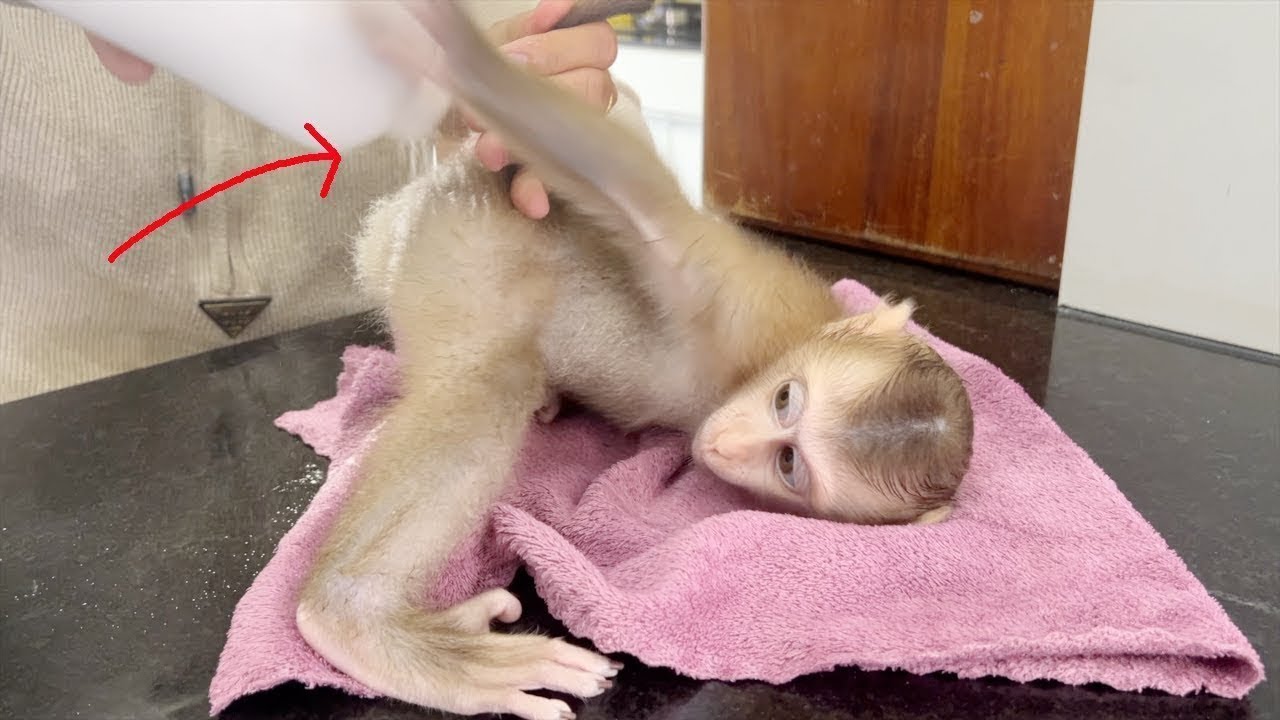Hilarious BB Jelly Standing Her Butt Let Mom Apply Powder To Treat Rash