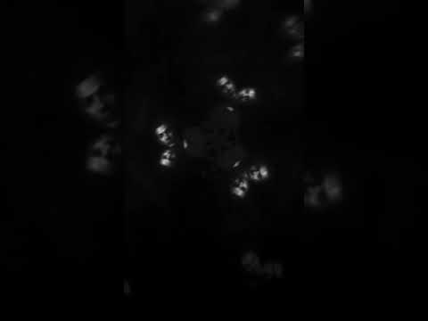 Vesna305 (NЮ) -
