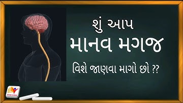 Std 10 Science Ch 7 નિયંત્રણ અને સંકલન(માનવ મગજ)| Std 10 Ncert /By SHIVAM CLASSES/By RATHOD SIR