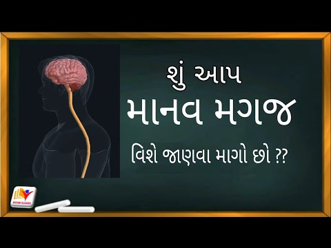 Std 10 Science Ch 7 નિયંત્રણ અને સંકલન(માનવ મગજ)| Std 10 Ncert /By SHIVAM CLASSES/By RATHOD SIR