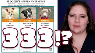 Is it a Rule or a Myth? | Vet's Voice