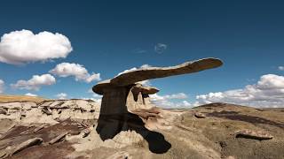 Into Nature's Wild - Timelapse Video screenshot 5