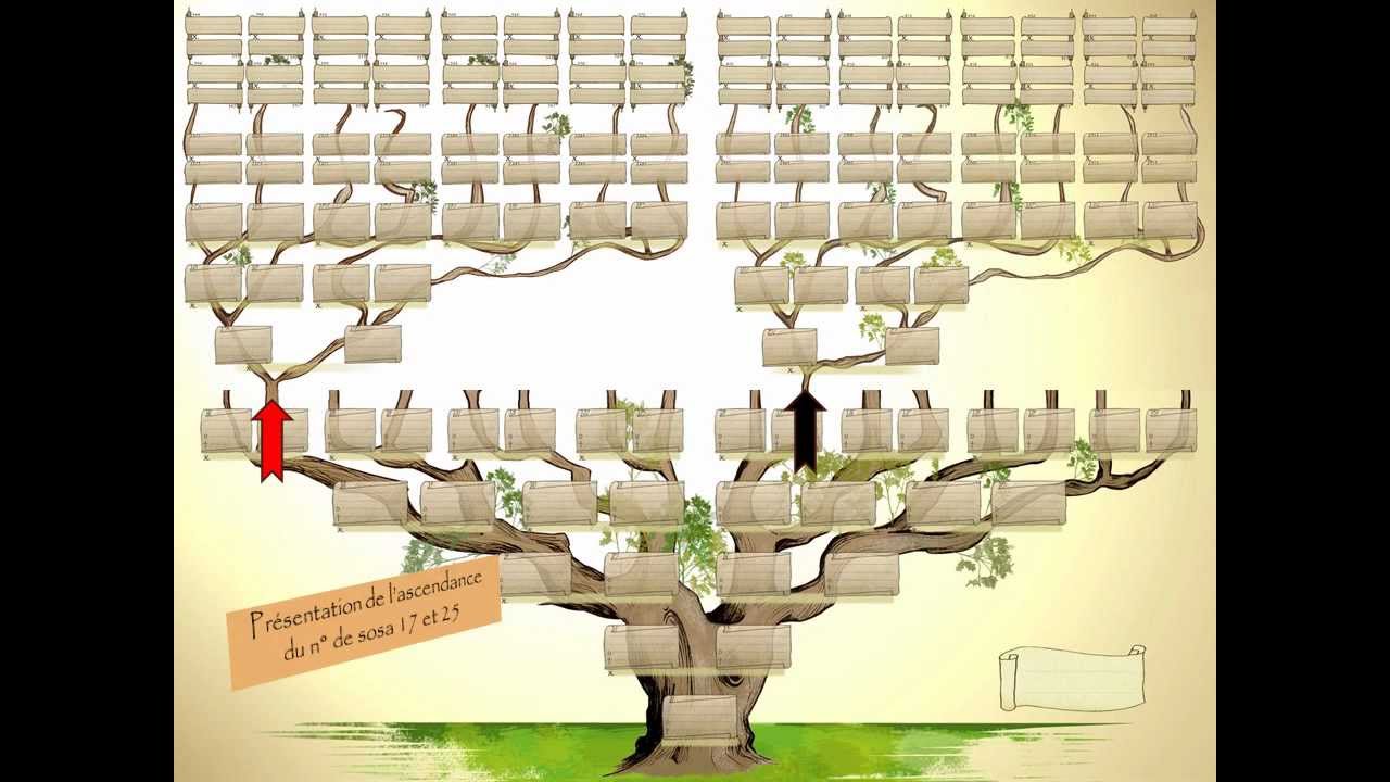 Дерево предков схема. Семейное Древо Хьюго. Генеалогическое Древо Family Tree. Макет родового дерева. Генеалогическое дерево шаблон.