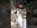 Rishikesh ka Sabse Sunder Waterfall | Neer Waterfall Rishikesh uttarakhand #shorts #ytshorts