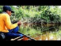 Mancing udang galah disaat kondisi air sedang berubah