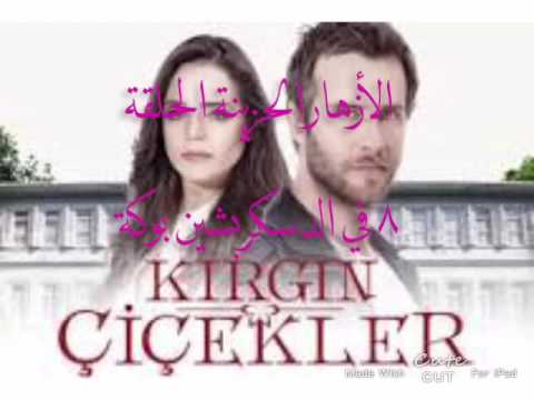 مسلسل الأزهار الحزينة الحلقة ٨ Kırgın Çiçekler