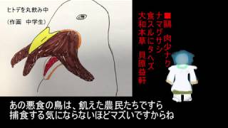 毛目子の万葉集のお話　(4)　舒明天皇の国見の歌