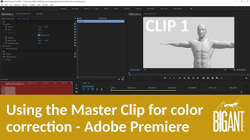 Beginners guide to using the Master Clip in Adobe Premiere