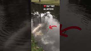 Incredible message when spreading ashes! #shorts #shortsvideo #jesus