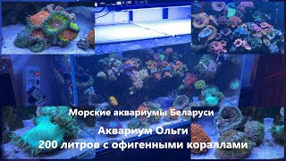Морской аквариум 200 литров Ольги из Минска