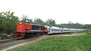 Download Lagu Melihat kereta api sribilah menikung di perlintasan perkebunan bahlias MP3