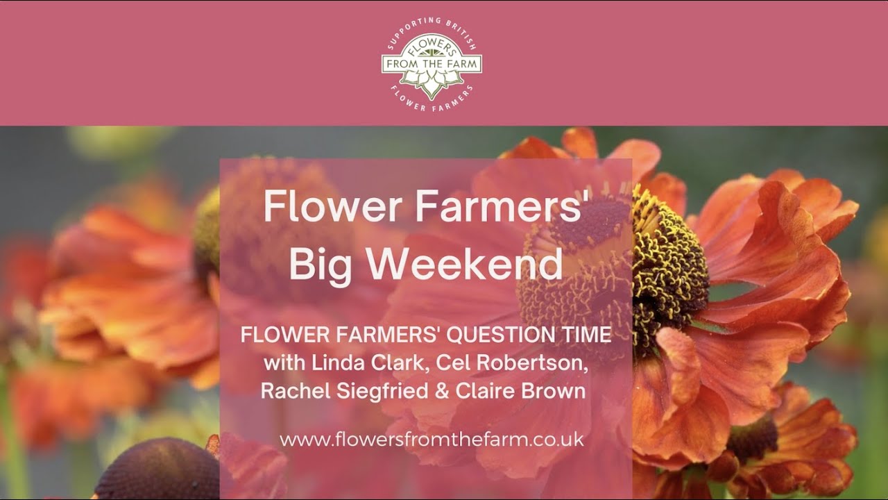 Flower Farmers' Question Time with Linda Clark, Cel Robertson, Rachel Siegfried and Claire Brown.