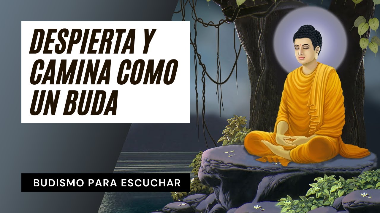 Despierta y Camina Como Buda | Budismo para Escuchar ☸️ Respuestas Budistas a Preguntas Actuales 1/5