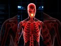 how to detox your body?