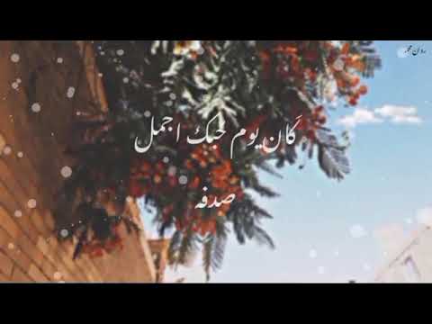 كان يوم حبك اجمل صدفه حاله واتس قديمه