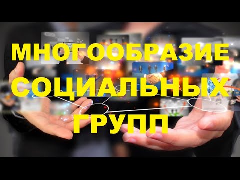 Социальные группы. Многообразие социальных групп.